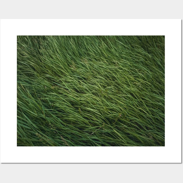 green grass sway in the wind Wall Art by psychoshadow